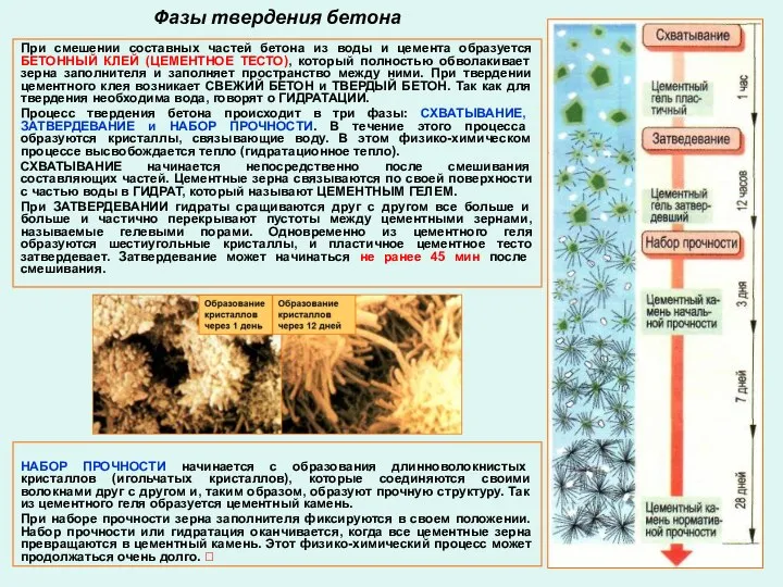 НАБОР ПРОЧНОСТИ начинается с образования длинноволокнистых кристаллов (игольчатых кристаллов), которые соединяются своими