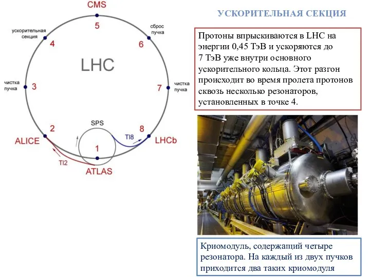 Протоны впрыскиваются в LHC на энергии 0,45 ТэВ и ускоряются до 7