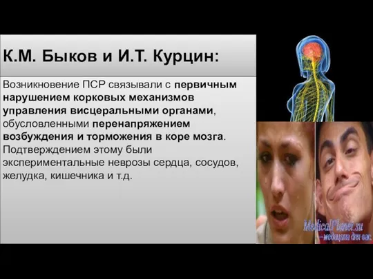 К.М. Быков и И.Т. Курцин: Возникновение ПСР связывали с первичным нарушением корковых