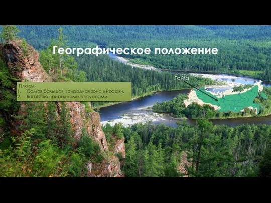 Географическое положение Тайга Плюсы: Самая большая природная зона в России. Богатство природными ресурсами.