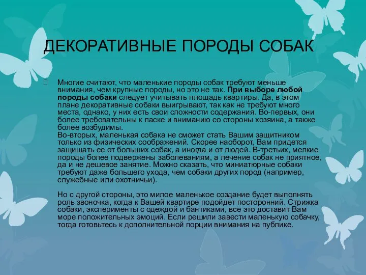 ДЕКОРАТИВНЫЕ ПОРОДЫ СОБАК Многие считают, что маленькие породы собак требуют меньше внимания,