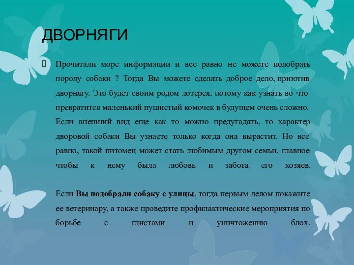 ДВОРНЯГИ Прочитали море информации и все равно не можете подобрать породу собаки