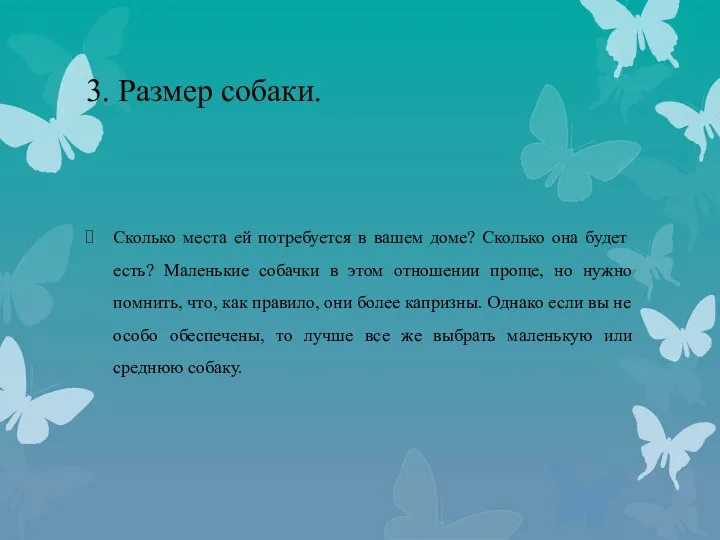 3. Размер собаки. Сколько места ей потребуется в вашем доме? Сколько она