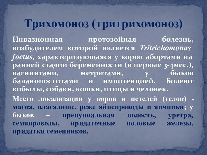 Инвазионная протозойная болезнь, возбудителем которой является Tritrichomonas foetus, характеризующаяся у коров абортами