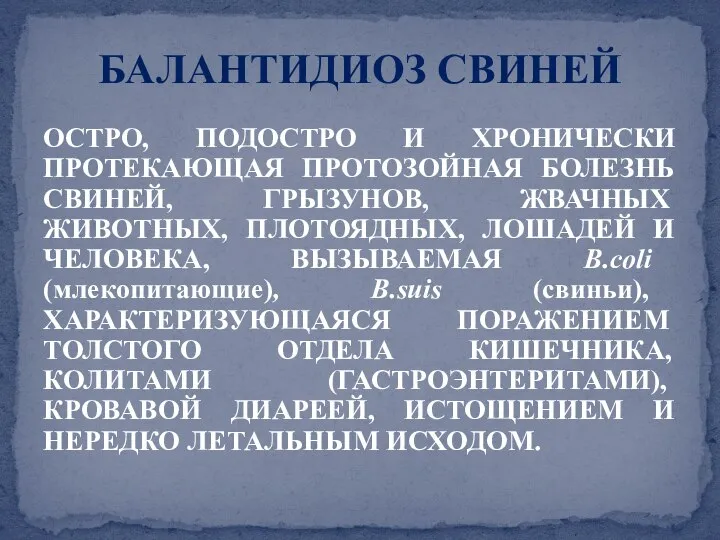 ОСТРО, ПОДОСТРО И ХРОНИЧЕСКИ ПРОТЕКАЮЩАЯ ПРОТОЗОЙНАЯ БОЛЕЗНЬ СВИНЕЙ, ГРЫЗУНОВ, ЖВАЧНЫХ ЖИВОТНЫХ, ПЛОТОЯДНЫХ,