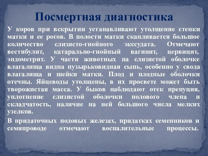 У коров при вскрытии устанавливают утолщение стенки матки и ее рогов. В