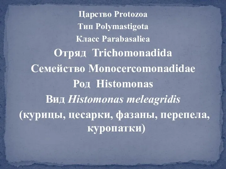 Царство Protozoa Тип Polymastigota Класс Parabasaliea Отряд Trichomonadida Семейство Monocercomonadidae Род Histomonas