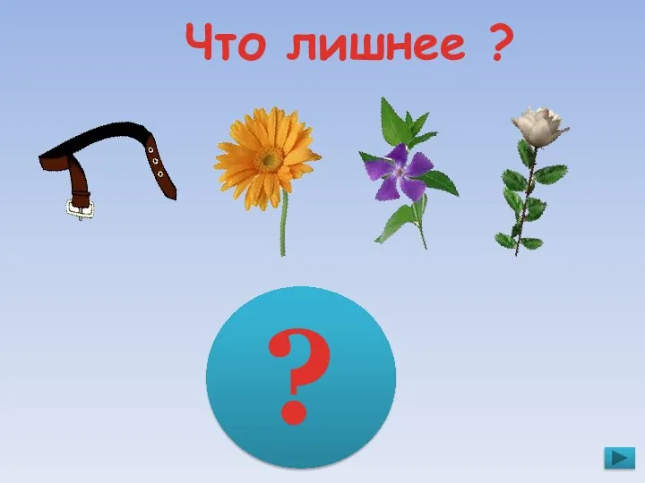 Что лишнее ? ?