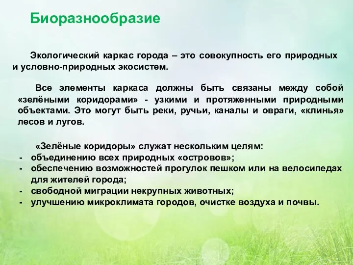 Биоразнообразие Экологический каркас города – это совокупность его природных и условно-природных экосистем.