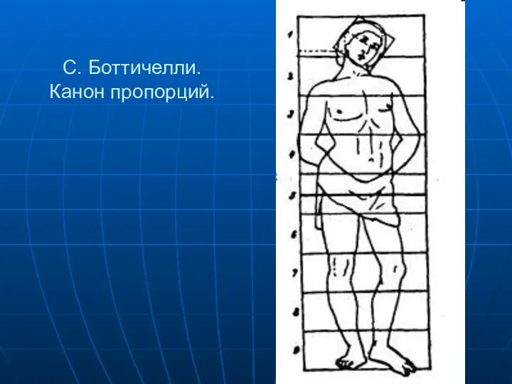 С. Боттичелли. Канон пропорций.