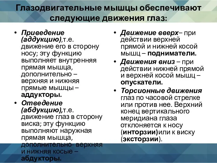 Глазодвигательные мышцы обеспечивают следующие движения глаз: Приведение (аддукцию),т.е. движение его в сторону