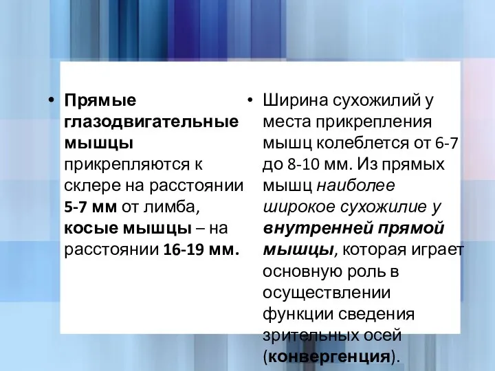 Прямые глазодвигательные мышцы прикрепляются к склере на расстоянии 5-7 мм от лимба,