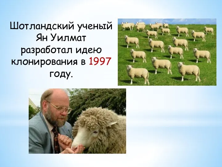 Шотландский ученый Ян Уилмат разработал идею клонирования в 1997 году.