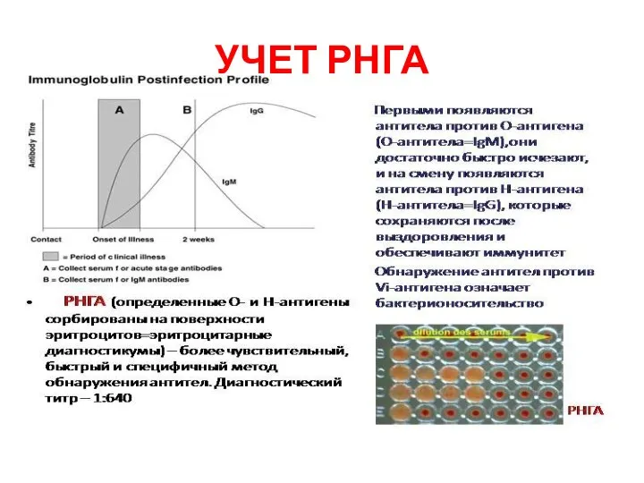 УЧЕТ РНГА