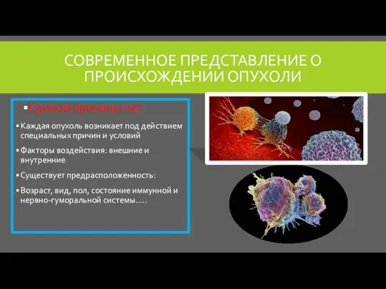 СОВРЕМЕННОЕ ПРЕДСТАВЛЕНИЕ О ПРОИСХОЖДЕНИИ ОПУХОЛИ Единой причины нет. Каждая опухоль возникает под