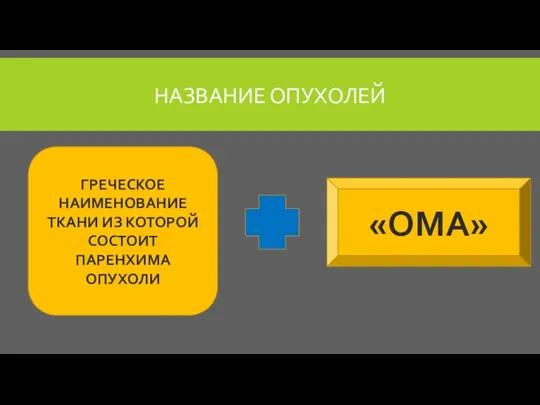 НАЗВАНИЕ ОПУХОЛЕЙ ГРЕЧЕСКОЕ НАИМЕНОВАНИЕ ТКАНИ ИЗ КОТОРОЙ СОСТОИТ ПАРЕНХИМА ОПУХОЛИ «ОМА»