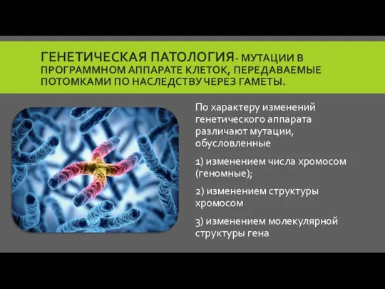 ГЕНЕТИЧЕСКАЯ ПАТОЛОГИЯ- МУТАЦИИ В ПРОГРАММНОМ АППАРАТЕ КЛЕТОК, ПЕРЕДАВАЕМЫЕ ПОТОМКАМИ ПО НАСЛЕДСТВУ ЧЕРЕЗ