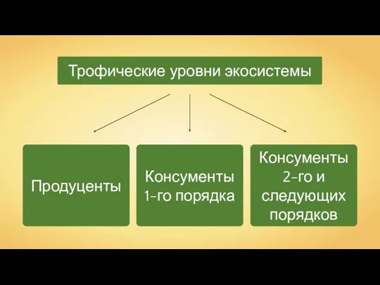 Трофические уровни экосистемы Продуценты Консументы 1-го порядка Консументы 2-го и следующих порядков