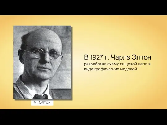 Ч. Элтон В 1927 г. Чарлз Элтон разработал схему пищевой цепи в виде графических моделей.