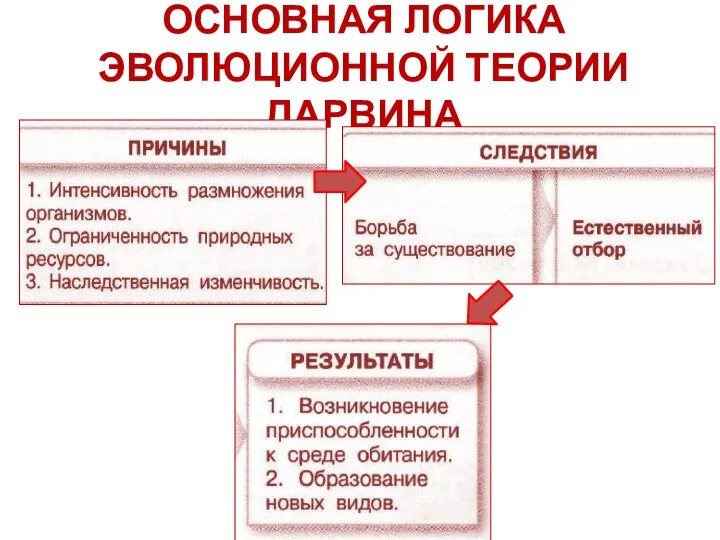 ОСНОВНАЯ ЛОГИКА ЭВОЛЮЦИОННОЙ ТЕОРИИ ДАРВИНА