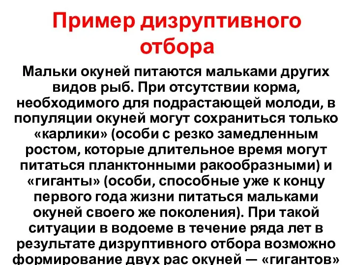 Пример дизруптивного отбора Мальки окуней питаются мальками других видов рыб. При отсутствии