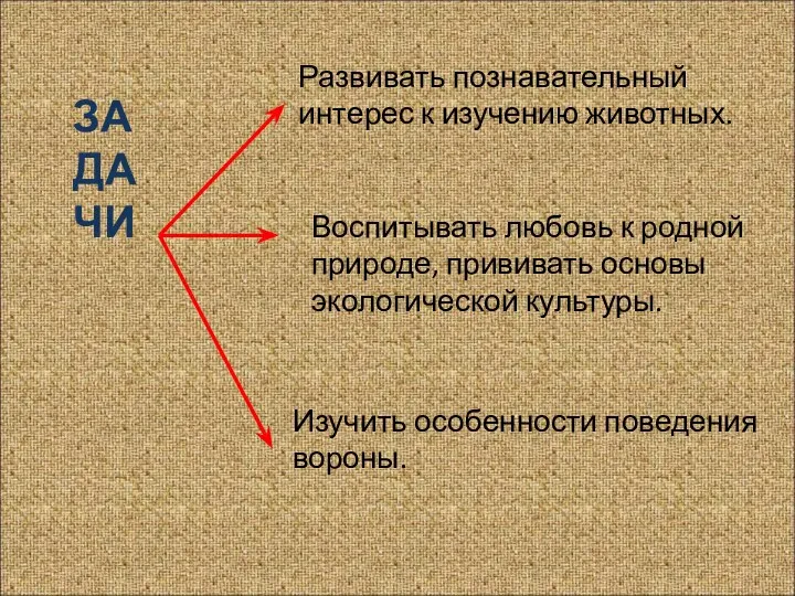 ЗАДАЧИ Развивать познавательный интерес к изучению животных. Воспитывать любовь к родной природе,