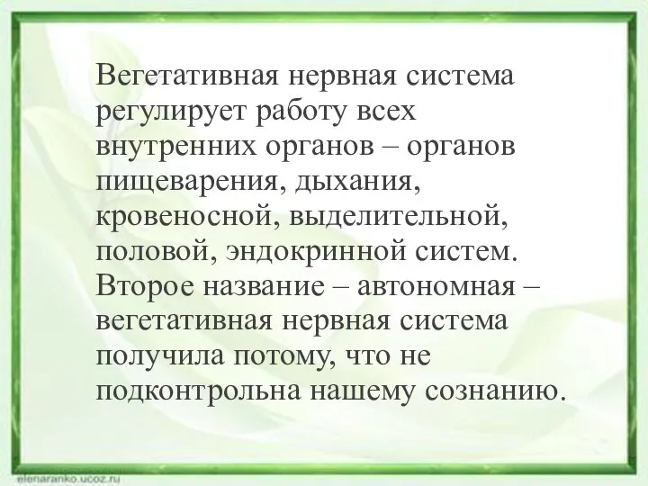 Вегетативная нервная система регулирует работу всех внутренних органов – органов пищеварения, дыхания,