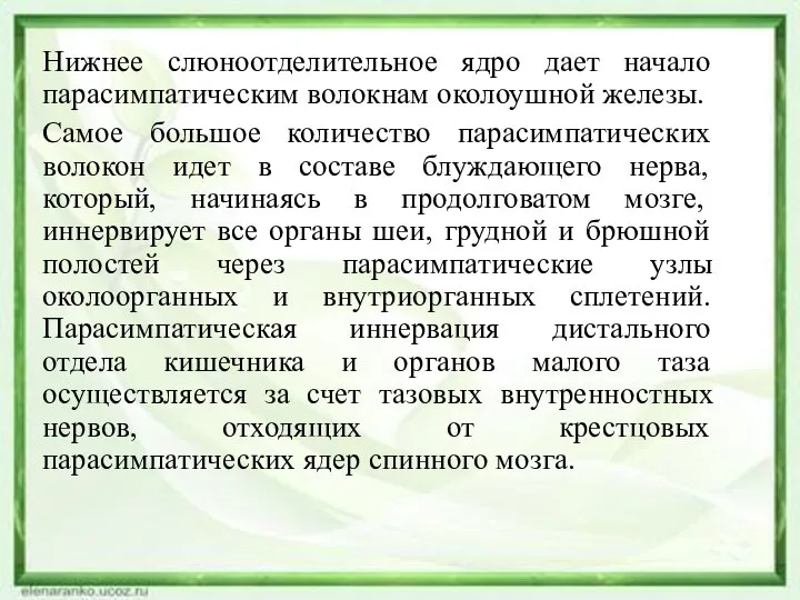 Нижнее слюноотделительное ядро дает начало парасимпатическим волокнам околоушной железы. Самое большое количество