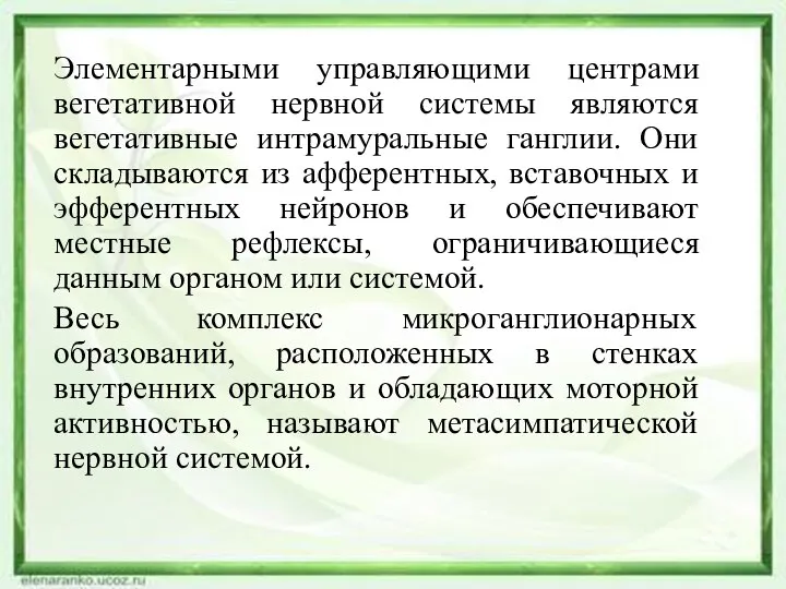 Элементарными управляющими центрами вегетативной нервной системы являются вегетативные интрамуральные ганглии. Они складываются