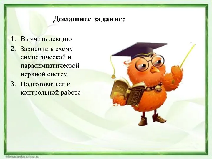 Домашнее задание: Выучить лекцию Зарисовать схему симпатической и парасимпатической нервной систем Подготовиться к контрольной работе