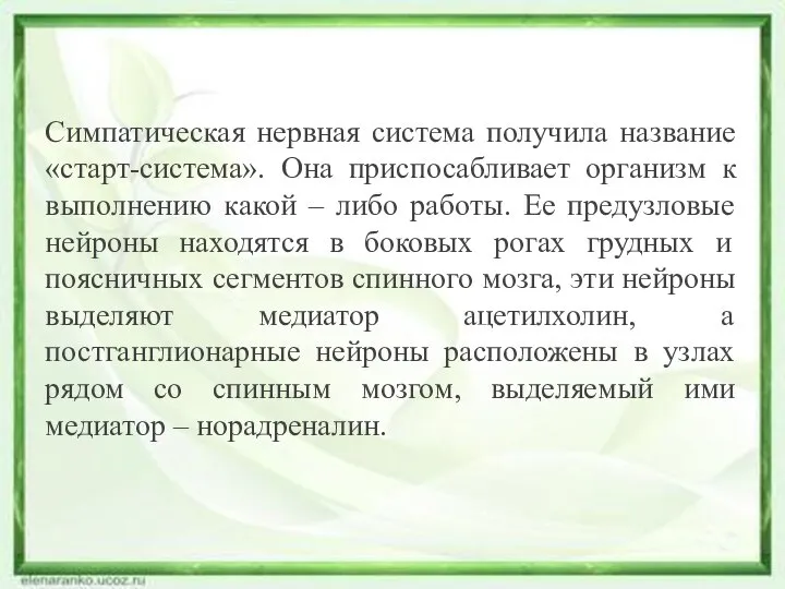 Симпатическая нервная система получила название «старт-система». Она приспосабливает организм к выполнению какой