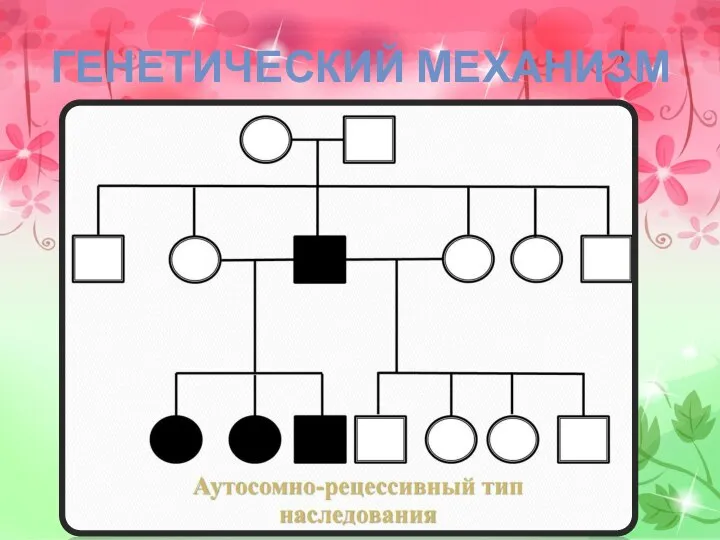 ГЕНЕТИЧЕСКИЙ МЕХАНИЗМ