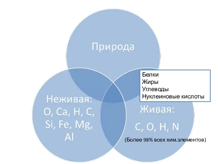 (Более 98% всех хим.элементов) Белки Жиры Углеводы Нуклеиновые кислоты