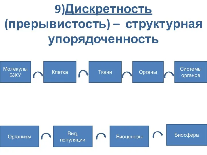 9)Дискретность (прерывистость) – структурная упорядоченность Молекулы БЖУ Клетка Ткани Органы Системы органов