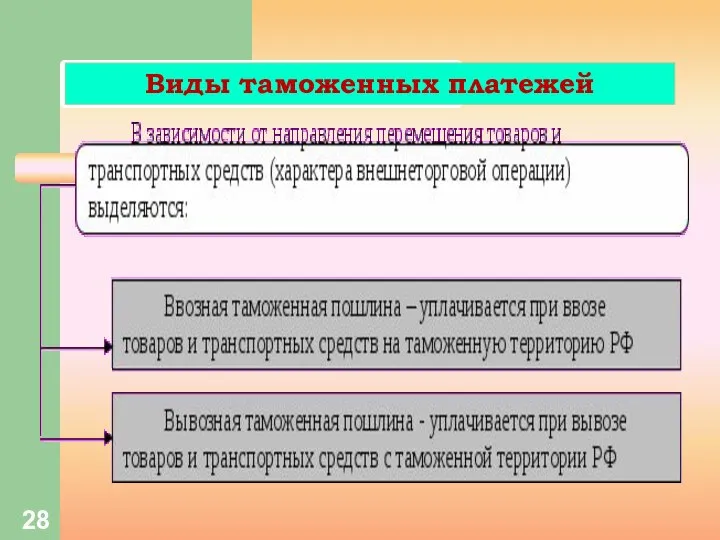 Виды таможенных платежей