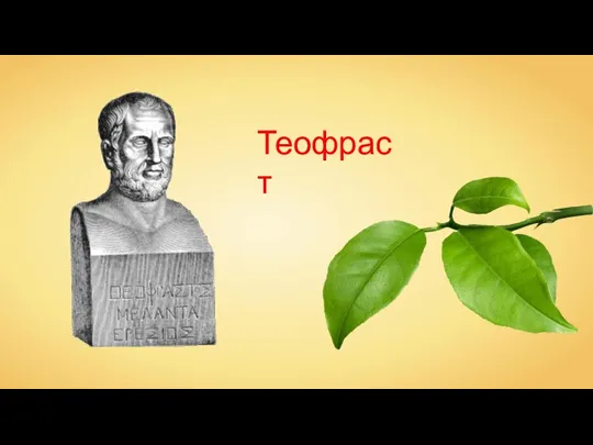 Теофраст