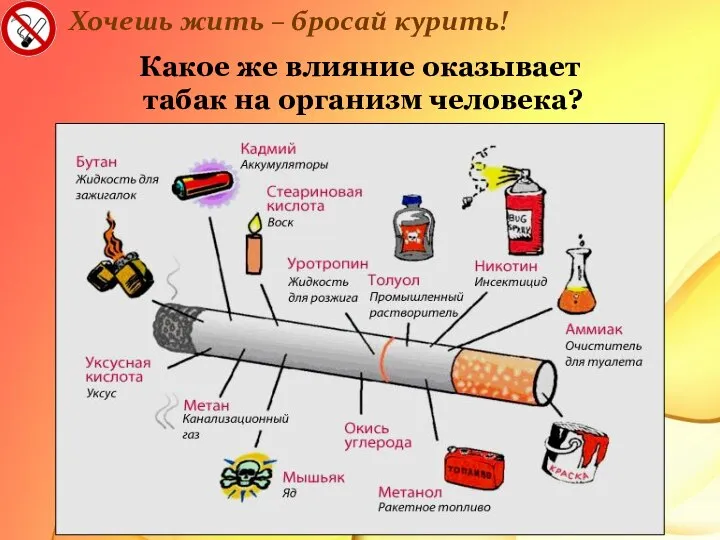 Хочешь жить – бросай курить! Какое же влияние оказывает табак на организм человека?
