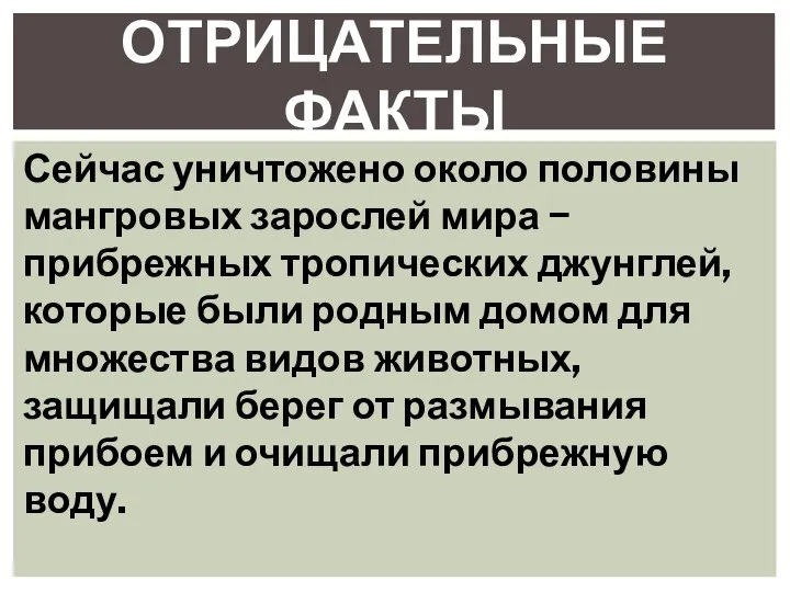 ОТРИЦАТЕЛЬНЫЕ ФАКТЫ Сейчас уничтожено около половины мангровых зарослей мира − прибрежных тропических