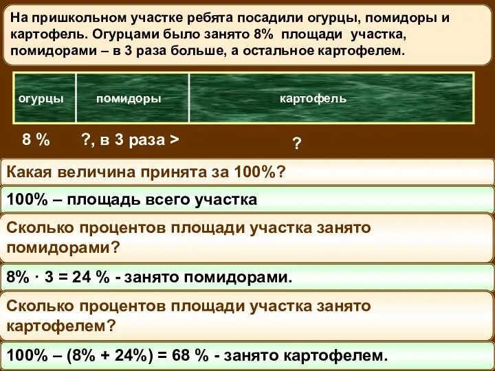 На пришкольном участке ребята посадили огурцы, помидоры и картофель. Огурцами было занято