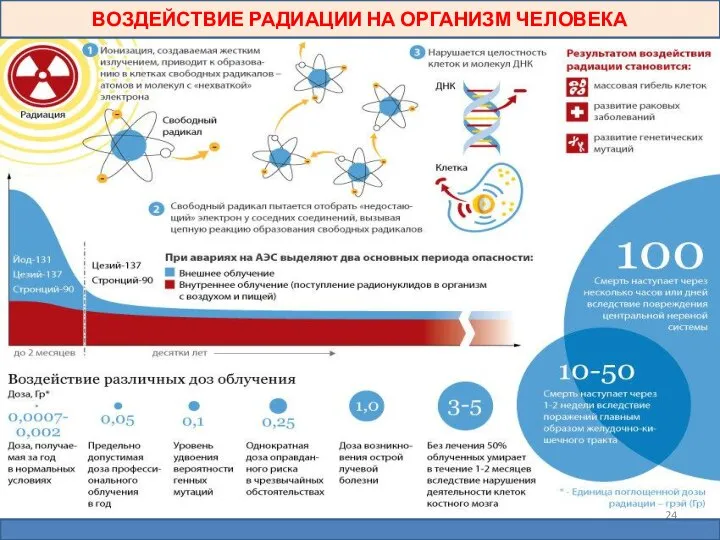 ВОЗДЕЙСТВИЕ РАДИАЦИИ НА ОРГАНИЗМ ЧЕЛОВЕКА