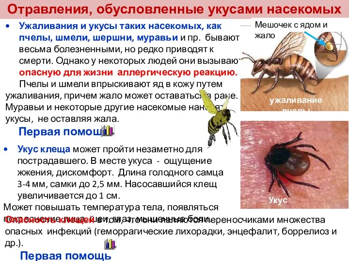 Отравления, обусловленные укусами насекомых Ужаливания и укусы таких насекомых, как пчелы, шмели,