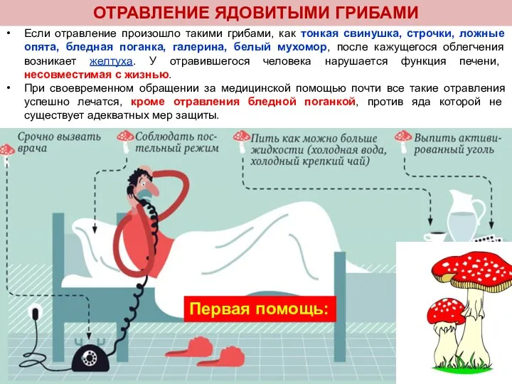 Если отравление произошло такими грибами, как тонкая свинушка, строчки, ложные опята, бледная