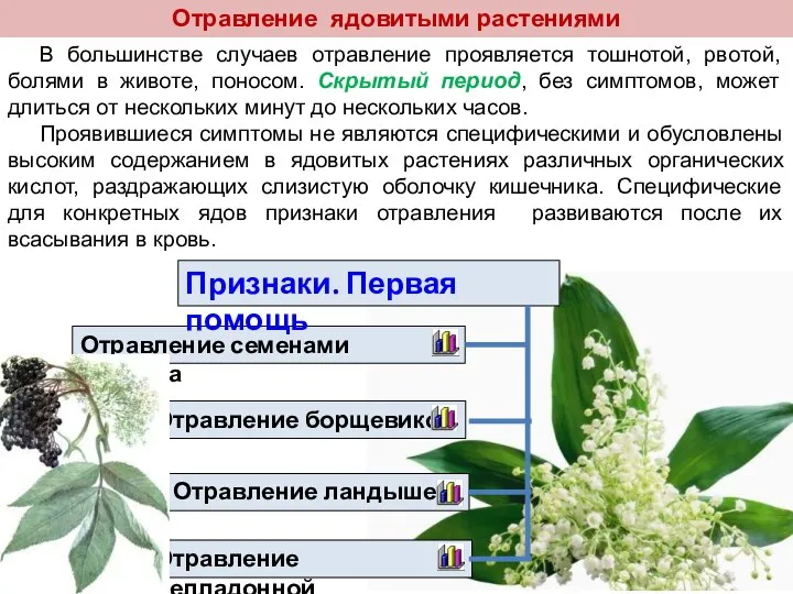 Отравление ядовитыми растениями В большинстве случаев отравление проявляется тошнотой, рвотой, болями в