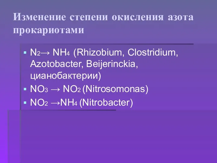 Изменение степени окисления азота прокариотами N2→ NH4 (Rhizobium, Clostridium, Azotobacter, Beijerinckia, цианобактерии)