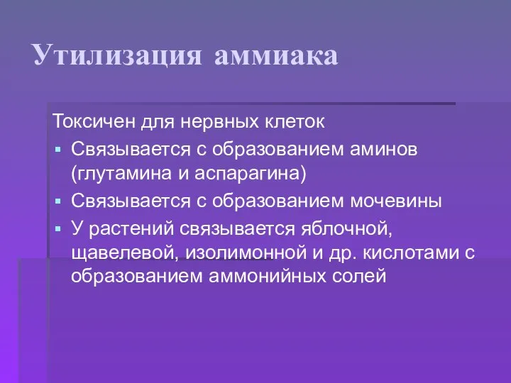 Утилизация аммиака Токсичен для нервных клеток Связывается с образованием аминов (глутамина и