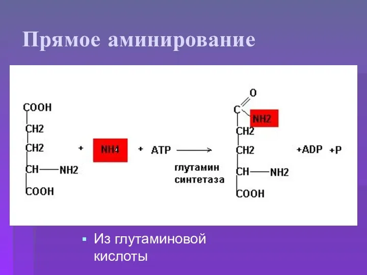 Прямое аминирование Из глутаминовой кислоты