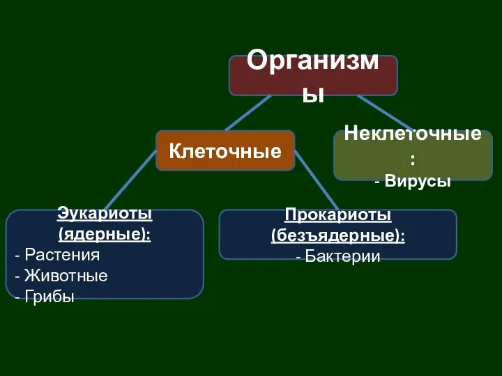 Организмы Клеточные Неклеточные: - Вирусы Эукариоты (ядерные): - Растения - Животные -