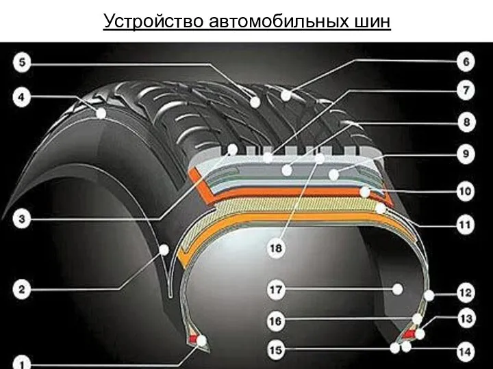 Устройство автомобильных шин