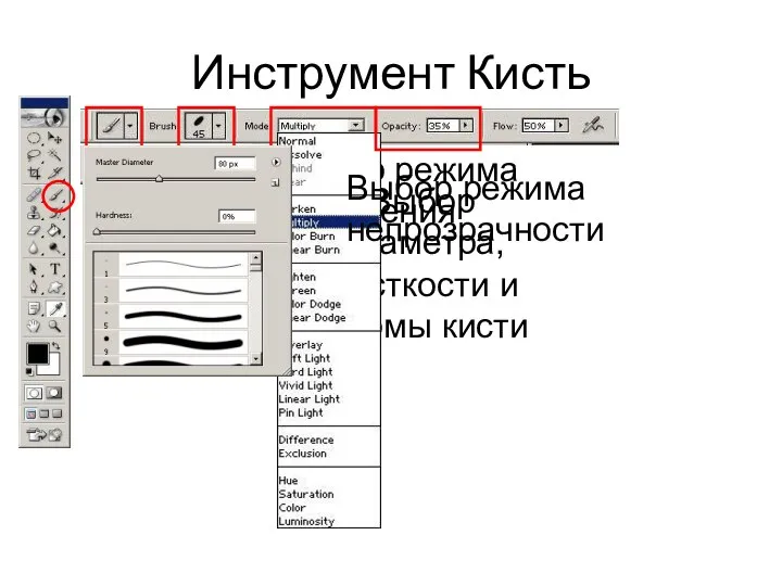 Инструмент Кисть Пользовательские кисти Выбор диаметра, жёсткости и формы кисти Выбор режима наложения Выбор режима непрозрачности