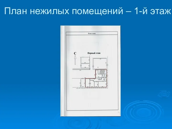 План нежилых помещений – 1-й этаж